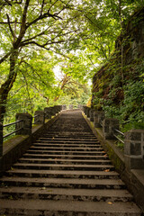 Fototapeta na wymiar stairway in city park 