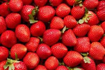 Strawberries in a box