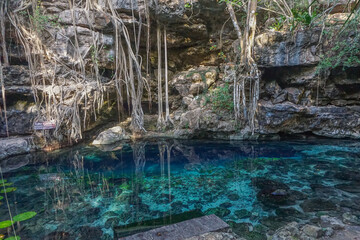 Fototapeta na wymiar Uxmal, Mexico: Cenote X-Batun. A cenote is a natural pit, or sinkhole, resulting from the collapse of limestone bedrock that exposes groundwater underneath.