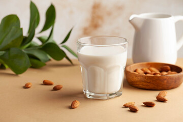 Vegetable almond vegan milk in a glass, almond nuts, green plant. Alternative to dairy products. Copy space. Flatlay