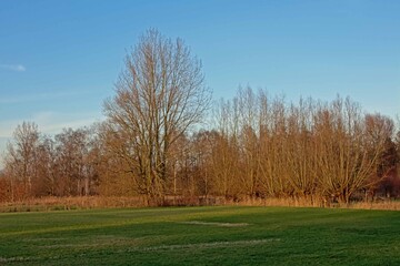 winter in the flemish countryside