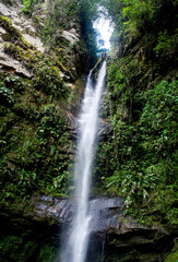 beautiful waterfall in the Peruvian jungle
