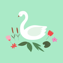 Cute white Swan with water lilies, flowers, reeds. Isolated vector illustration on a green background. For printing on t-shirts, bags, textile design element.