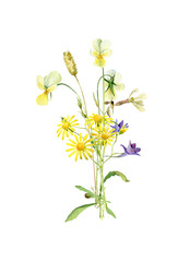 Watercolor bouquet of violets of flowers and yellow camomile on a white background