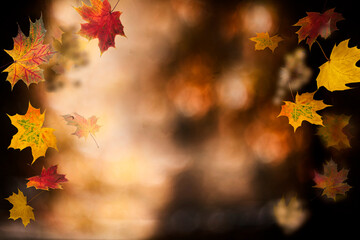 Autumn background. Colorful red fall maple leaves and abstract sun light