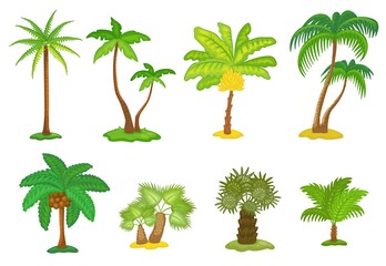 Obraz premium Set of tropical green palm trees cartoon icons, vector illustration isolated.
