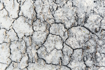 dry cracked earth texture. Dry cracked earth background, cracked earth texture.