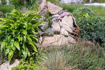 stones and decorative greens in bright weather