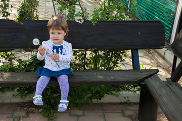 Summer fun, sweet little girl blowing dandelion.