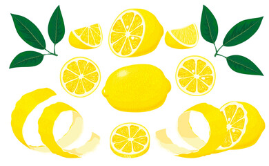 Set of whole, cut in half, sliced on pieces fresh lemons and leaves, lemon peel. Hand drawn vector illustration isolated on white background