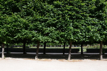 Obraz premium 公園