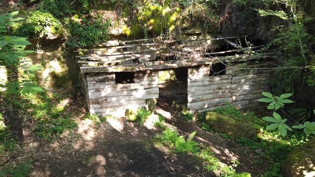 Sainte F&eacute;r&eacute;ole (Corr&egrave;ze, France) - Sentier de la r&eacute;sistance - Cabane de maquisard du trou du Loup ou Cabane cubaine
