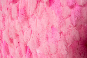 Bright background of fuchsia feathers. Pink feathers