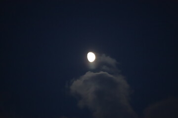 Naklejka na ściany i meble lune dans la nuit 