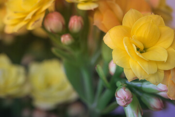 bouquet of yellow flowers