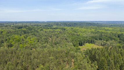 Fototapeta premium forêt de Rambouillet vue du ciel