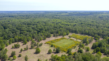 Fototapeta premium forêt de Rambouillet vue du ciel