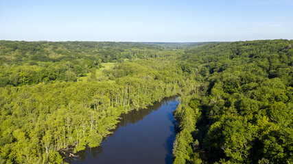 Fototapeta na wymiar étangs de Hollande dans la forêt de Rambouillet près de Versailles