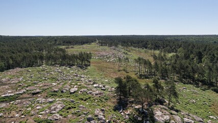 Fototapeta premium Forêt de Fontainebleau, vue du ciel (île-de-France)