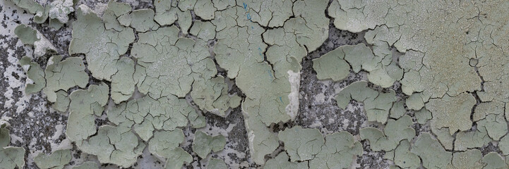 Peeling paint on the wall. Panorama of a concrete wall with old cracked flaking paint. Weathered rough painted surface with patterns of cracks and peeling. Wide panoramic grunge texture for background