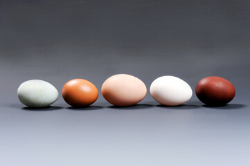 creative eggs, different kinds of egg on dark background