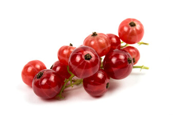 red currant in studio shot on white background