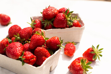 Biologische Hollandse ardbeien, Organic strawberry's