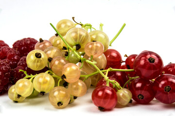 raspberries and red and white currants in studio shot on white background
