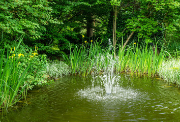 Cascade fountain in the garden pond. Fountain pump lifts up water above emerald water surface of  pond in old shady garden.  Freshness and coolness in sunny day.