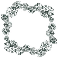 Simple and elegant floral decorative elements made of graphical sketch of pine cones. Botanical design for wedding cards and decorations. Grapical pine cones groups. Wreath. Set of pinecones. Lineart