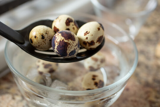 A View Of Several Hard Boiled Quail Eggs On A Slotted Spoon Going Into An Ice Bath.