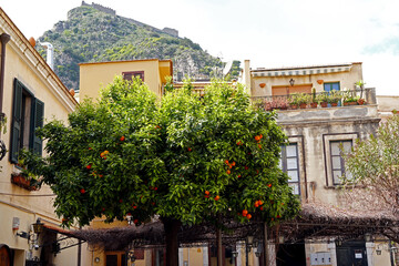 orange tree growing at square in old town of Taormina in Sicily 