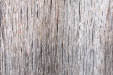 Patterned background of broken wood