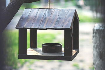 Bird feeder on a background of sunlight and blurry trees. In green summer tones.