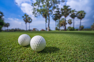 Close-up golf balls on green grass in soft focus at sunlight.