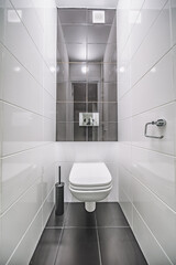 White mounted toilet bowl in modern bathroom