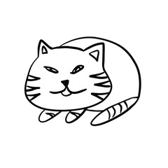 Stylish cute cat.  Vector illustration on white background. For cards, posters, decor. Great for coloring, packaging, printing, fabric and textile. 