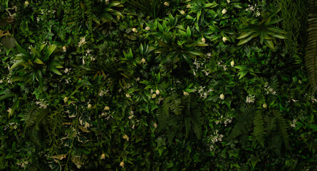 Green leaves pattern background, Natural background