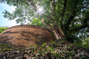 Ancient brick wall also known as Fort of Haiya or Thipanaet and big Bodhi trees in Chiang Mai city, Northern Thailand.