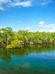 Beautiful lagoon near Key Largo, FL, USA