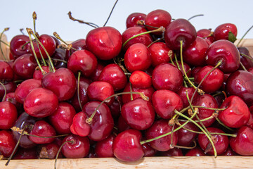 cherry berries on a wooden tray on a white background. close-up