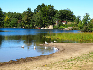 Beautiful summer day on the island - Manitoulin Island, ON, Canada