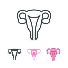 Healthy Female reproductive system in  Internal organ include uterus, cervix, ovary, fallopian tube. Human Anatomy of inner body part. Womb icon. Vector illustration. Design on white background. EPS10