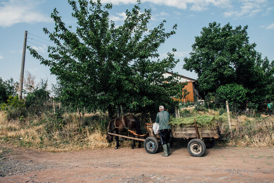An old man taking bags out of an old wooden horse wagon.