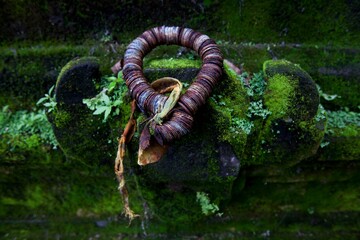 
A series of Uang Kepeng or ancient Chinese money became one of the offerings of Balinese Hindus while performing rituals at the temple to ask for wealth and happiness.