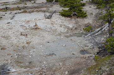 Late Spring in Yellowstone National Park: Unnamed Spring Along Boardwalk Near Porkchop Geyser in the Back Basin Area of Norris Geyser Basin