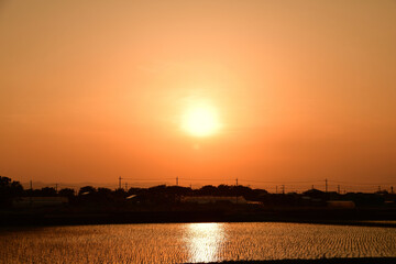 水田の夕焼け