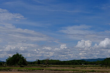Obraz premium landscape with clouds