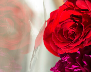 Red rose bouquet of flowers in plastic wrap reflected on glass window pane