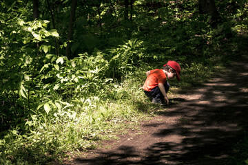 Little Boy Explores Forest Floor